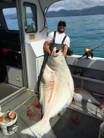 Fishing in Whittier Alaska for Halibut 