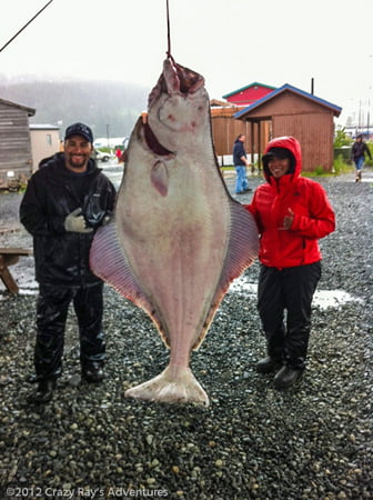 Halibut Fishing Alaska - Crazy Rays Adventures