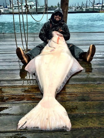 Halibut Fishing Alaska - Crazy Rays Adventures