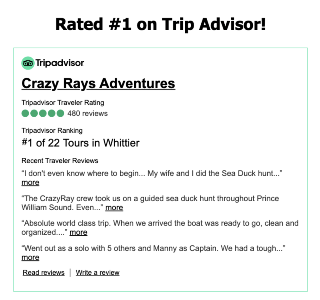 Rated #1 on Trip Advisor
