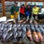 Multi Species Fishing Charters